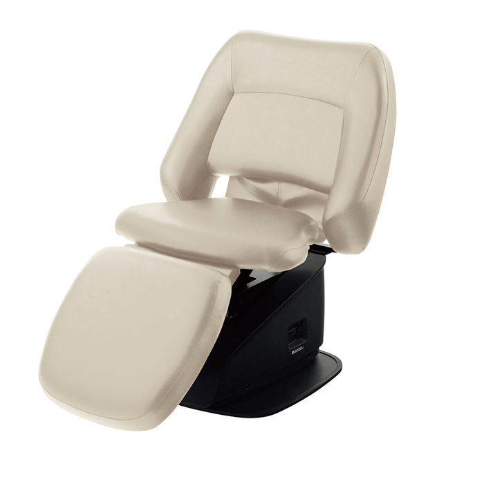 アイボリー(ES9)