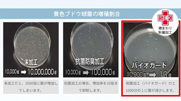 黄色ブドウ球菌の増殖割合